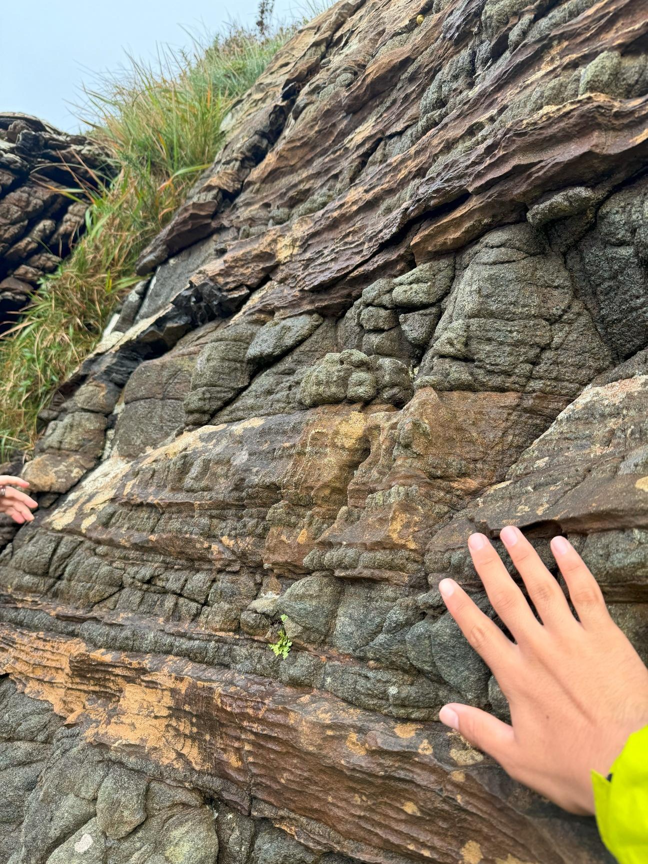 地球環境科学専攻